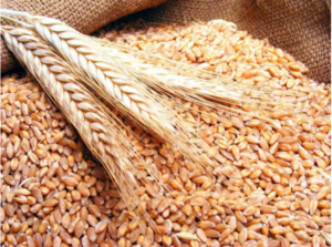Agenția Rezerve Materiale anunță prelungirea termenului de depunere a dosarelor de participare la concursul privind selectarea beneficiarilor finali de grâu alimentar din rezervele de stat
