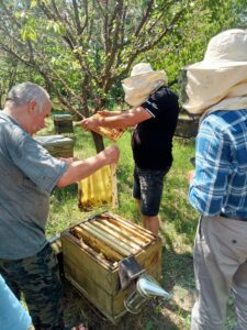 Raionul Șoldănești se dezvoltă în sectorul apicol