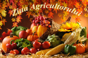 Mesajul de felicitare al Direcției Agricultură și Alimentație cu prilejul Zilei lucrătorului din agricultură și industria prelucrătoare