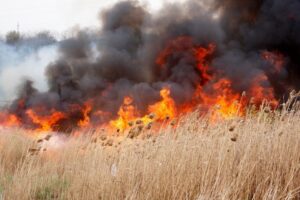 Reguli de prevenție și protecție  contra  incendiilor de vegetație uscată