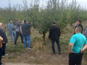Seminar dedicat producătorilor de culturi sâmburoase din raionul Șoldănești